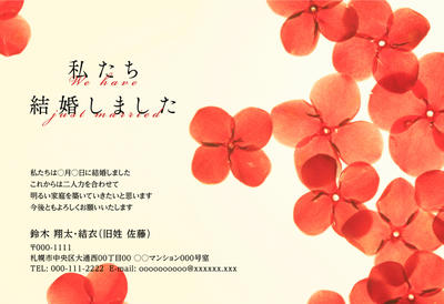 写真なし挨拶状 デザイン一覧 ソルトウェディングの結婚報告はがき